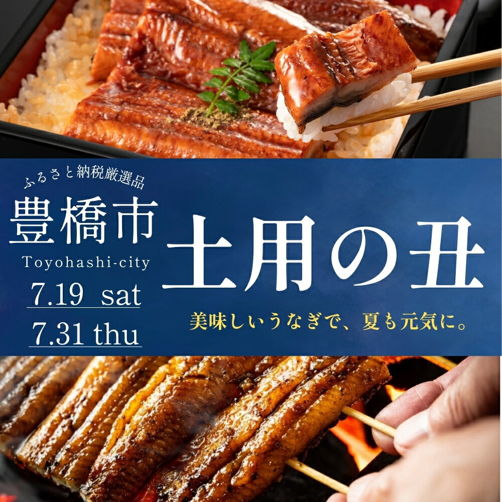 【ふるさと納税】≪父の日お届け≫国産うなぎ蒲焼 2尾~10尾 タレ・山椒付 ≪選べる≫ 2尾 3尾 4尾 6尾 8尾 10尾 鰻 うなぎ unagi 国産 ウナギ 蒲焼 土用の丑の日 土用 丑の日 贈答 贅沢 ご褒美 特産品 うな重 うな丼 ひつまぶし 冷凍 お祝い お中元 お歳暮 特上