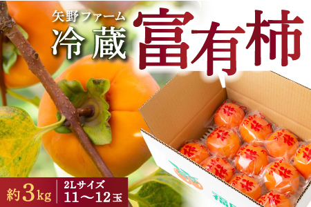 【先行予約】矢野ファーム 冷蔵富有柿 (2Lサイズ) 11玉から12玉 (約3kg) 2025年12月中旬から2026年1月10日 出荷予定