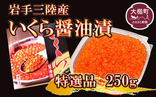 【2025年2月より発送】岩手三陸産 大粒 いくら醤油漬 250g×1個 [0tsuchi00641]