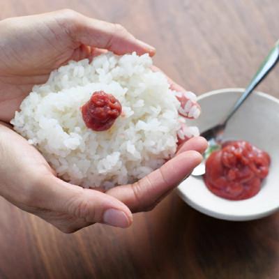 ふるさと納税 田辺市 紀州南高梅 ねり梅セット (500g×3本) 【nkn007-2】 |  | 01
