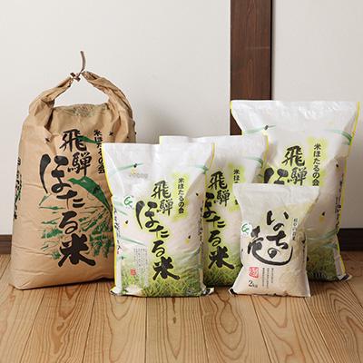 ふるさと納税 下呂市 即納【令和7年産米】こしひかり 5kg すがたらいす 2025年産 コシヒカリ【51-5】 |  | 02