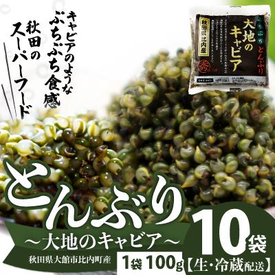 ふるさと納税 大館市 とんぶり大地のキャビア　生　10袋　