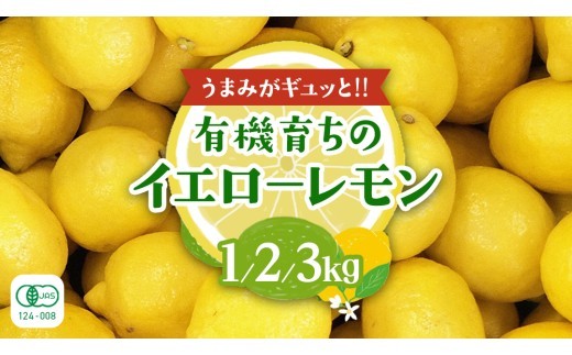 
                  大崎上島産 有機レモン 【 選べる内容量 】 レモン れもん 檸檬 広島県 オーガニック JAS認証 有機 柑橘 フルーツ 果物
                