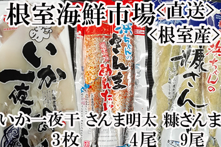 【北海道根室産】根室海鮮市場[直送]いか一夜干し3尾・さんま明太4尾・糠さんま9尾 A-28182