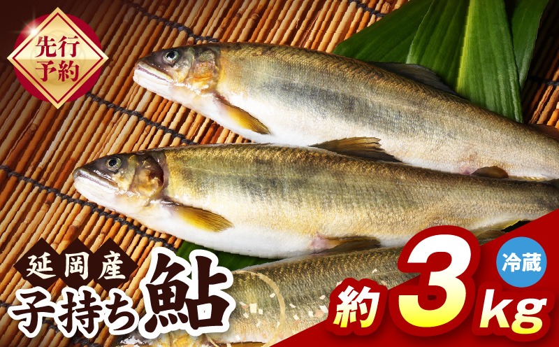 【先行予約】2026年10月下旬より発送開始【冷蔵】子持ち鮎約3kg N070-YD0265-1
