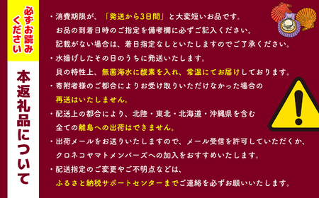 【西日本限定発送】浜崎水産の緋扇貝　１５個 | 貝 ヒオウギガイ  貝 ヒオウギガイ 貝 ヒオウギガイ 貝 ヒオウギガイ 貝 ヒオウギガイ 貝 ヒオウギガイ 貝 ヒオウギガイ 貝 ヒオウギガイ 貝 ヒ