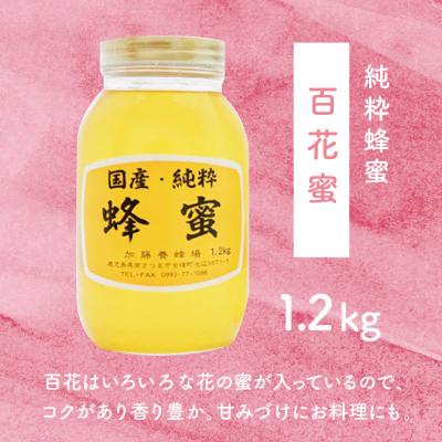 ふるさと納税 南さつま市 【国産 純粋はちみつ】百花蜂蜜 1.2kg 鹿児島産 加藤養蜂場 |  | 02