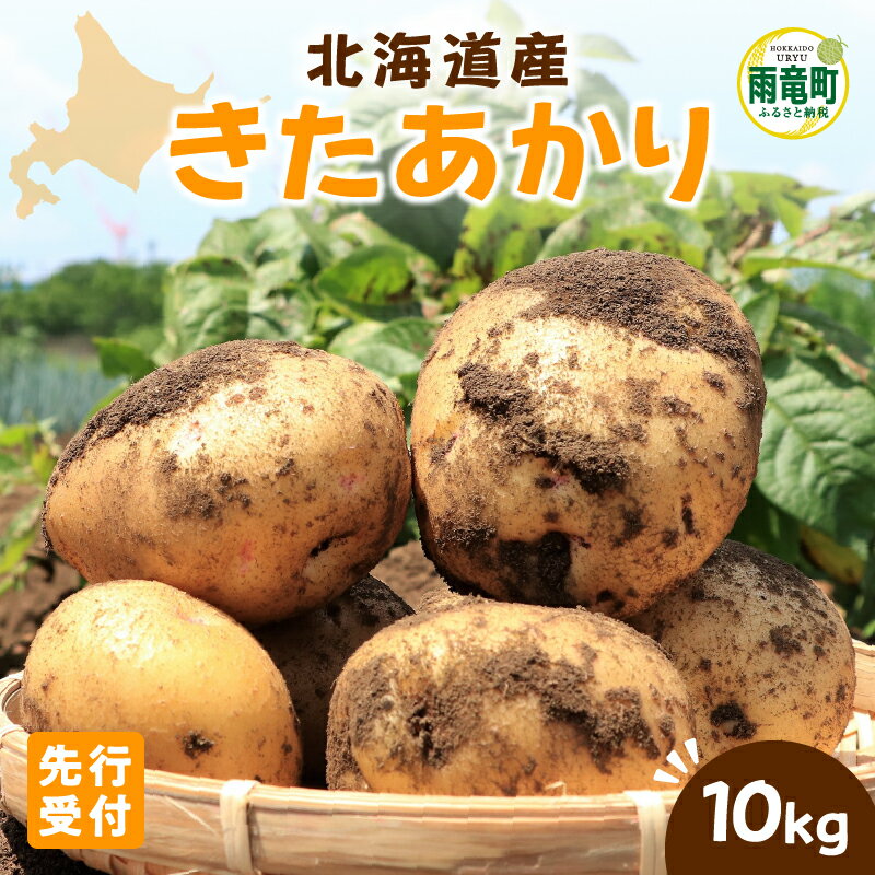 【ふるさと納税】【令和7年産先行予約】北海道産 じゃがいも 「きたあかり」 S～LLサイズ10kg《 9月より発送 》 じゃがいも きたあかり 10kg お取り寄せ 北海道産 芋 野菜 ポテト じゃがバター 肉じゃが コロッケ ポテトサラダ ポテトチップス お取り寄せ 北海道 雨竜町