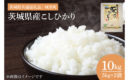 【令和6年度産】茨城県産こしひかり 10kg（5kg×2）（茨城県共通返礼品/城里町）【お米 ごはん こしひかり おいしい 白米 茨城県産 水戸市】（IH-5050）