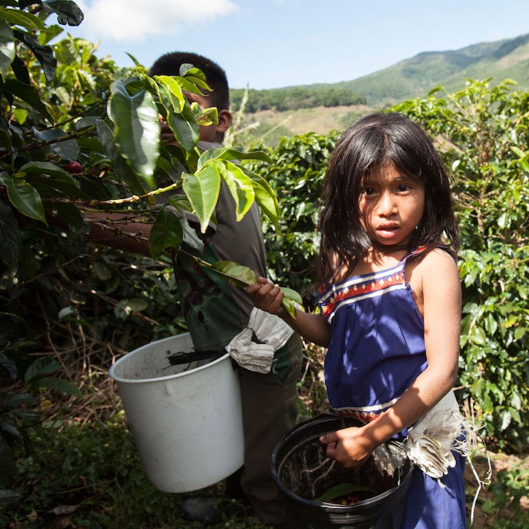 メール便発送【訳あり】フェアトレード ブレンドコーヒー 富士山の湧き水で磨いた スペシャルティコーヒー 粉 400g