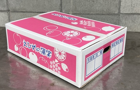 愛果28号 約3.3kg ご家庭用 みかん 柑橘 愛媛 【12月から順次発送予定】 先行予約 数量限定 人気 伊予市｜B456