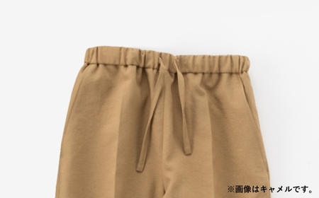 レピウスの白衣 【レディース】スクラブパンツ リンクル (カラー：キャメル、サイズ：L)