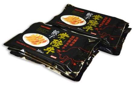 【5ヶ月定期便】ゆきむら壱番亭の常陸牛餃子16個入り×6パック 合計96個※離島への配送不可