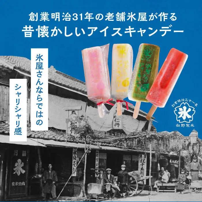 氷屋さんの アイスキャンデー 4種×2本 フルーツ 詰め合わせ ( あまおう いちじく ゆず 緑茶 )[VBD002] アイス アイスキャンディー