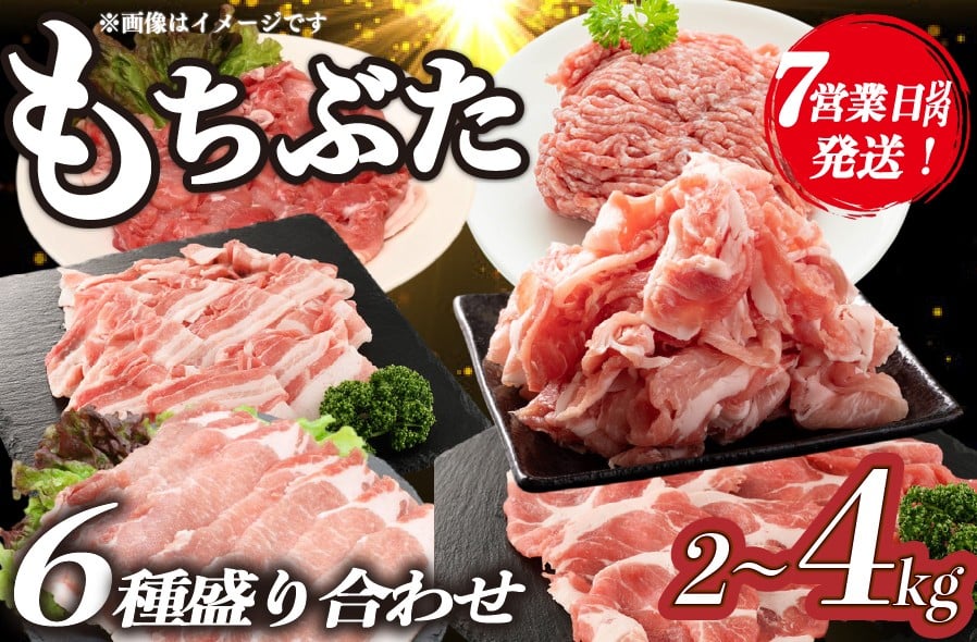 
            【スピード配送 7日以内発送】豚肉 和豚 もちぶた バラエティパック 2kg 4kg 肩ロース バラ ロース もも ひき肉 小間切れ 食べ比べ ブランド豚 和豚もちぶた ブランド 美味しい豚 豚肉 肉 にく 肉料理 夕食 晩ごはん ポーク おかず 小分け 便利 肉の片山 新潟県 新発田市 katayama007P
          