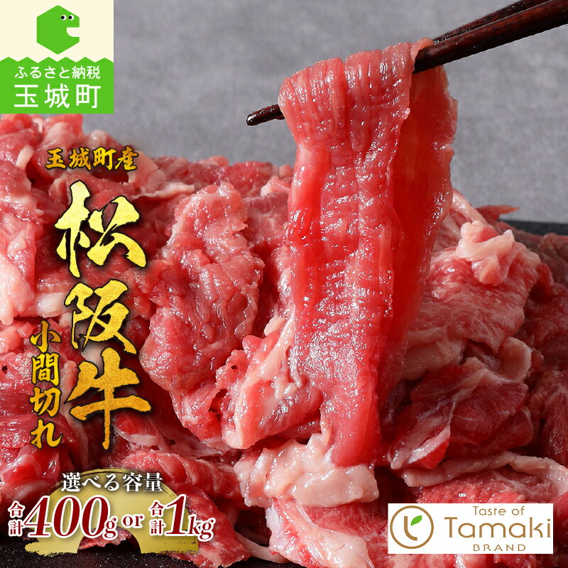 【ふるさと納税】 肉 牛肉 松阪牛 小間切れ BBQ 国産 霜降り 厳選 小分け 400g 1kg 贈り物 ギフト 数量限定 ブランド牛 高級 和牛 日本三大和牛 トレイ入 冷凍 誕生日 お祝い 記念日 家庭用 肉じゃが カレー スタミナ丼 三重県 玉城町産 ミライエ 小林牧場