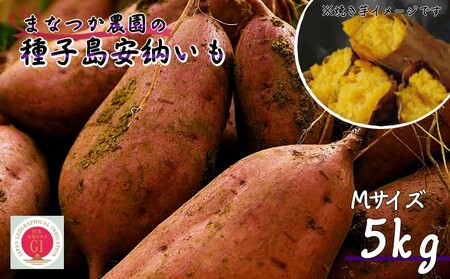 【  新物 ・ 先行予約中 】種子島 まなつか農園 安納いも ( 生いも ) M サイズ 5kg　NFN001【300pt】 