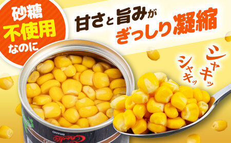 【全3回定期便】自然甘 ホールコーン 3缶【きもべつ観光協会】 缶詰 瓶詰 加工品 とうもろこし 北海道 常温配送 [AJAG036]