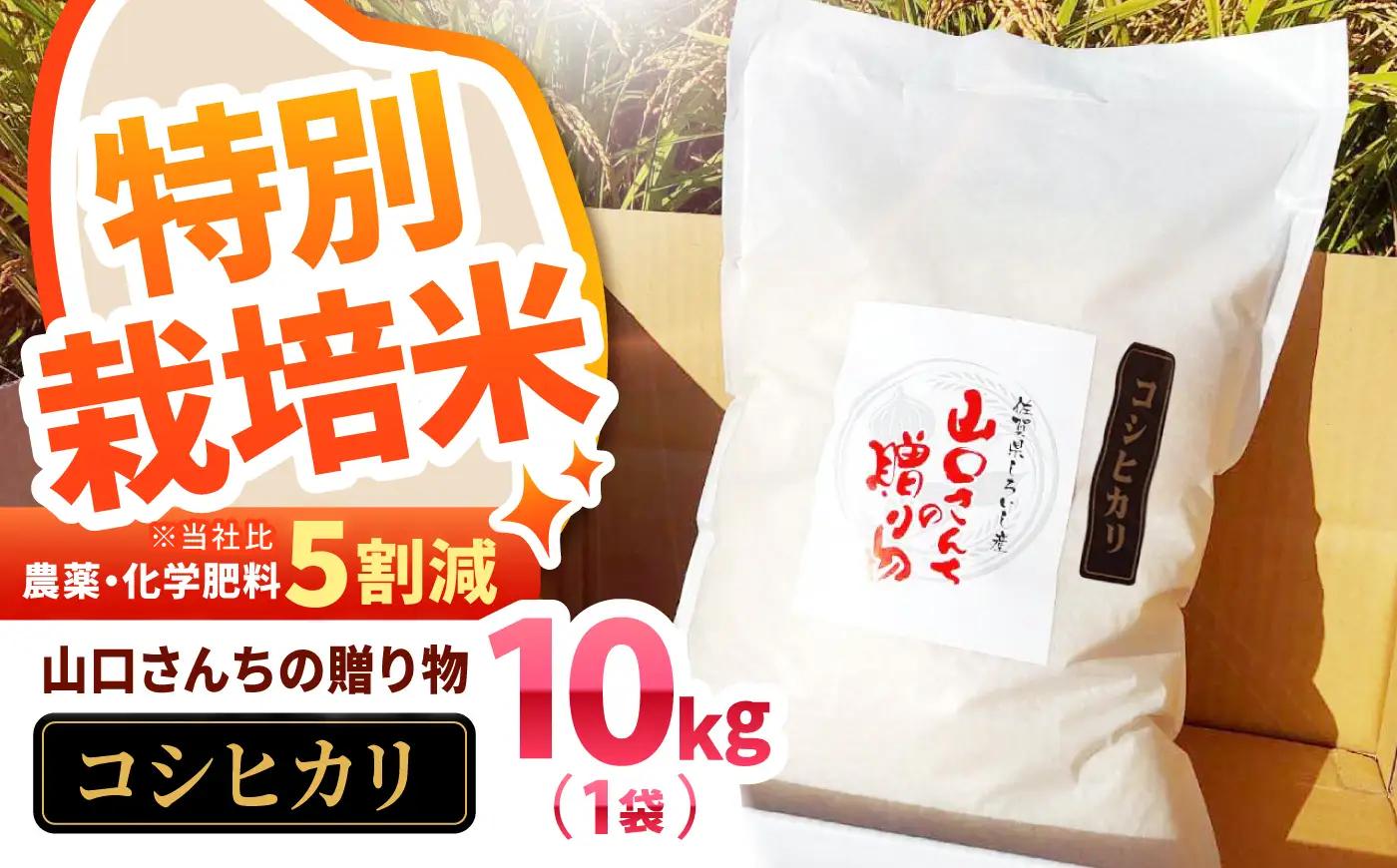 【先行予約　2026年8月～発送】令和8年産 特別栽培米！コシヒカリ10kg / お米 [IAS002]