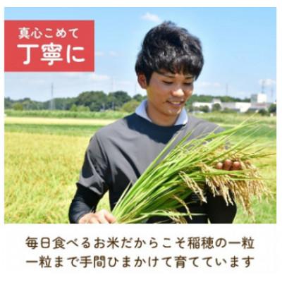 ふるさと納税 龍ケ崎市 【令和7年産】龍ケ崎のコシヒカリ 5kg(5kg×1袋) |  | 01