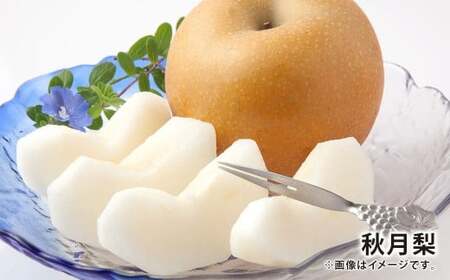 各種梨おまかせ （幸水、豊水、秋月、新高、新興、秋麗、甘太、凛果、にっこり、愛宕いずれか） 約1.8kg 【2025年8月上旬～10月上旬迄発送予定】