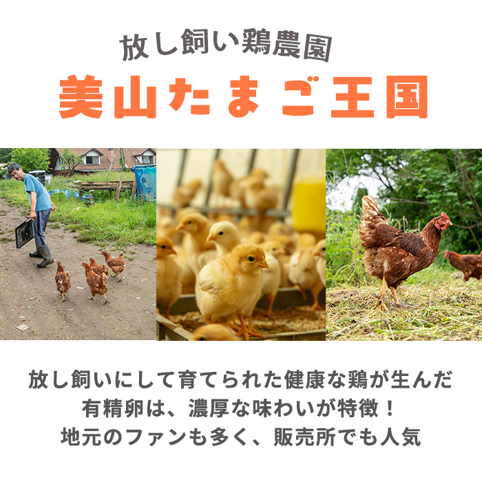 No.779 ＜全6回・定期便＞鹿児島県産美山オリーブ卵(40個×6回連続) 【美山たまご王国】