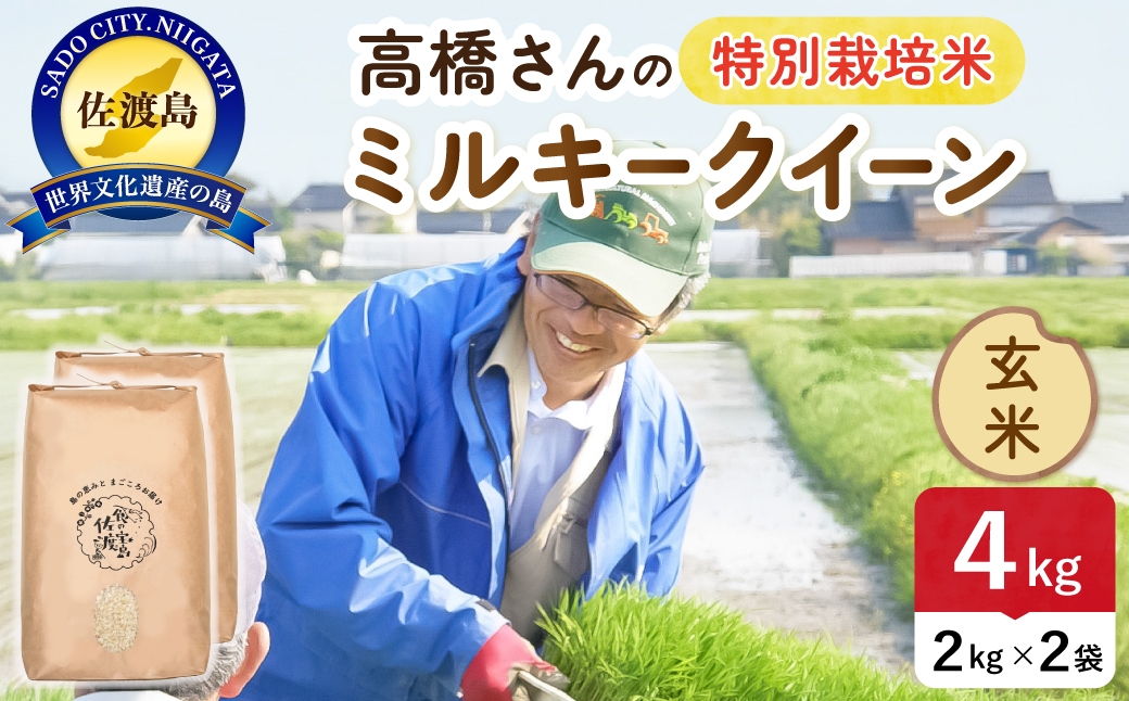 
                  令和8年産 佐渡島産ミルキークイーン 玄米4kg 特別栽培米 | 新潟県産ミルキークイーン 新潟産ミルキークイーン 佐渡産ミルキークイーン ミルキークイーン 特別栽培米 お米 米 玄米 おこめ コメ 4キロ にいがた さど 新潟県 佐渡市
                