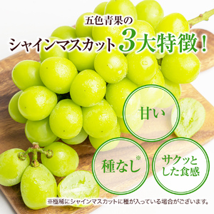 大粒 特選 大房シャインマスカット 約750g 1房 ぶどう 果物 フルーツ 種なし 