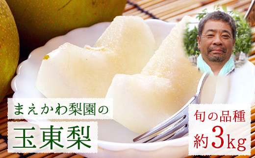
                  まえかわ梨園の玉東梨 約3kg（6-8玉前後）《8月中旬-9月下旬頃出荷》 熊本県玉東町産【2品種から旬の梨1種】 果物 スイーツ フルーツ 
                