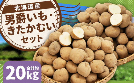 じゃがいも 男爵 きたかむい Lサイズ 各約10kg×1箱 計約20kg （JA） ジャガイモ 芋 いも イモ 食べ比べ 食べくらべ セット 国産 【2027年1月上旬～2月下旬迄発送予定】
