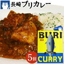 【ふるさと納税】長崎の変　長崎ブリカレー 180g×5個＜幸（みゆき）＞