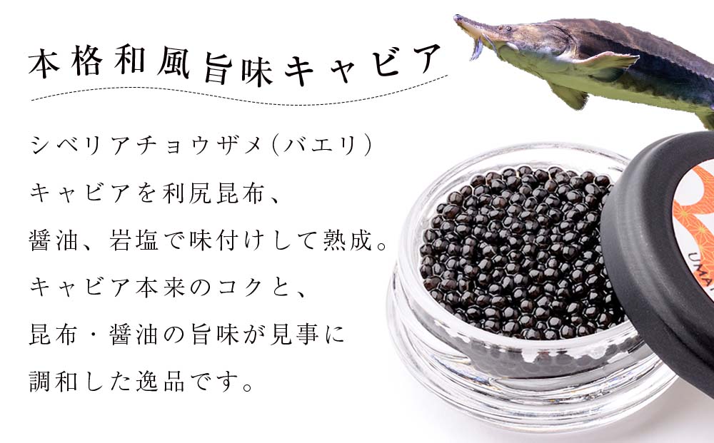【和風キャビア】1983 JCAVIAR BAERII UMAMI 10個(20g×10）