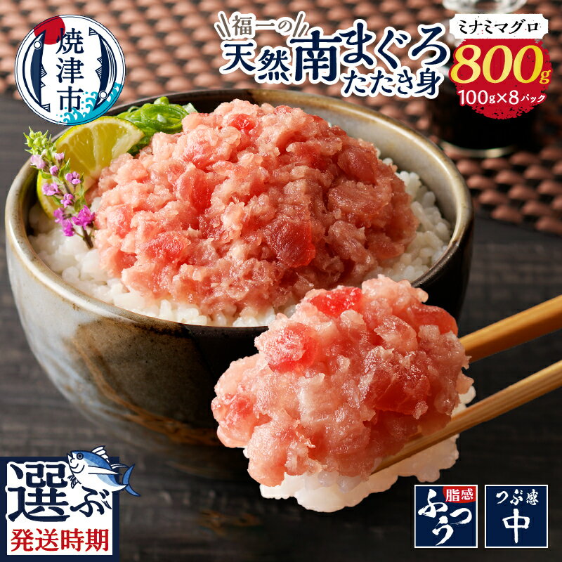【ふるさと納税】 【発送月が選べる】 マグロ ネギトロ ねぎとろ 冷凍 小分け 天然 南まぐろ たたき身 100g×8パック 老舗 まぐろ専門店 包丁不要 焼津 a10-1095