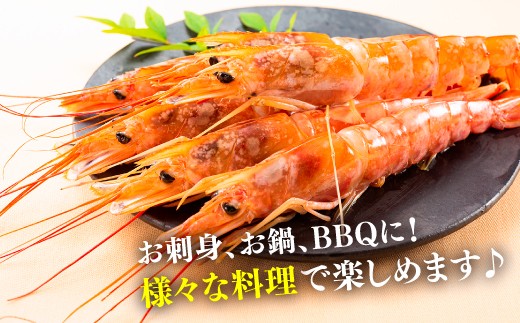 AB443.【お刺身用】有頭赤海老2kg（約40〜60尾入）