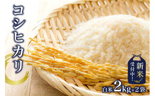 【新米】コシヒカリ白米2kg×2袋【2026年産】 mi0015-0001 【おにぎり 白米 お米 ブランド米 精米】