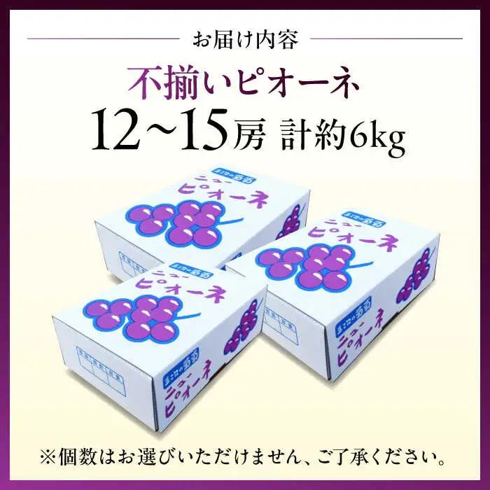 【2026年先行予約】＜8月下旬から順次発送＞【訳あり】 ピオーネ 6kg [APCK004] ぶどう ピオーネ