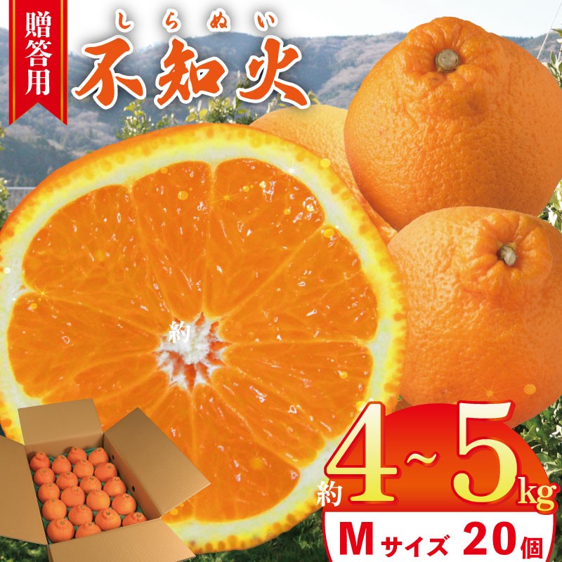 
                  不知火  約4kg～5kg Mサイズ 20個 【 2026年3月発送予定 】 贈答用 しらぬい 柑橘 みかん オレンジ フルーツ 果物 甘い スイーツ ギフト 送料無料 徳島県 吉野川市 山下農園
                