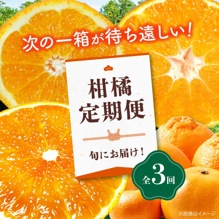 【ふるさと納税】【全3回定期便】 大洲の旬果をお届け！柑橘定期便（2025年度版）大洲市/フジ アグリフーズ[AGBA021] 先行予約 みかん ミカン 紅マドンナ 紅まどんな 果物 くだもの フルーツ 愛媛県産 大洲市産 産地直送 おすすめ 人気 お取り寄せ 送料無料 贈答 ギフト