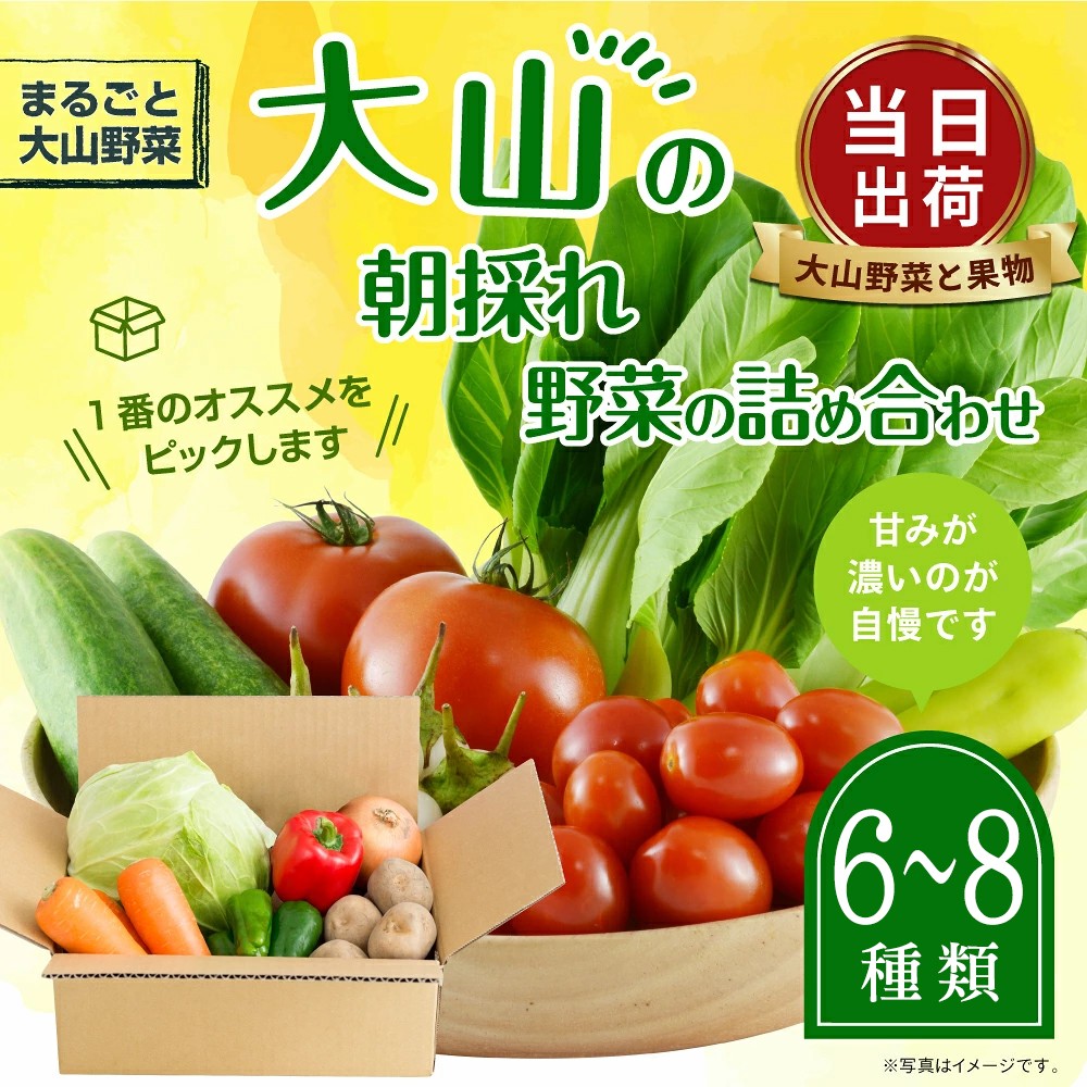 MS-01　新鮮朝採れ野菜 お手頃セット