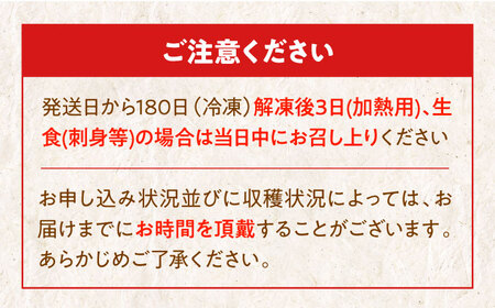 【冷凍】国内最高級 養殖真鯛 『愛鯛』1尾（3枚卸済 フィレ2枚 お頭付き） タイ たい 刺身 冷凍 さしみ 刺し身 愛媛県大洲市/愛媛県漁業協同組合[AGDA001]