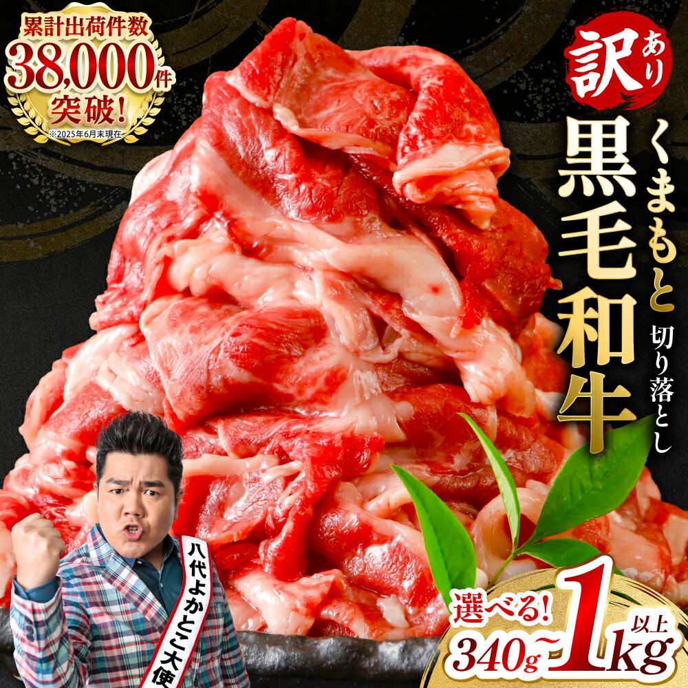 【ふるさと納税】 【訳あり】くまもと黒毛和牛 牛肉 切り落とし 340g～1020g 選べる内容量 霜降り 部位ミックス 毎月数量限定 限定 国産牛 ブランド牛 国産 黒毛和牛 お肉 牛肉
