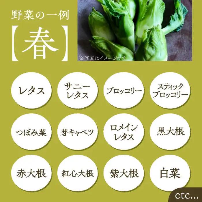 【全6回定期便】農家が選ぶ！ 旬の新鮮野菜セット[VBE009]産直 野菜 やさい 詰め合わせ