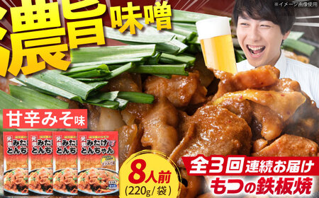 【3回定期便】岐阜県産豚もつの鉄板焼き「元祖みたけとんちゃん」甘辛みそ味（8人前） / モツ もつ 白もつ ホルモン / 御嵩町 / 藤よし [AVAA021]