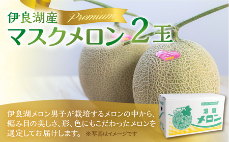 先行予約 伊良湖産 マスクメロン Premium 2玉 2026年6月下旬から8月中旬 発送 箱詰め メロン フルーツ 果物 お取り寄せ ギフト 渥美半島 田原市 産地直送 送料無料 メロンフルーツ