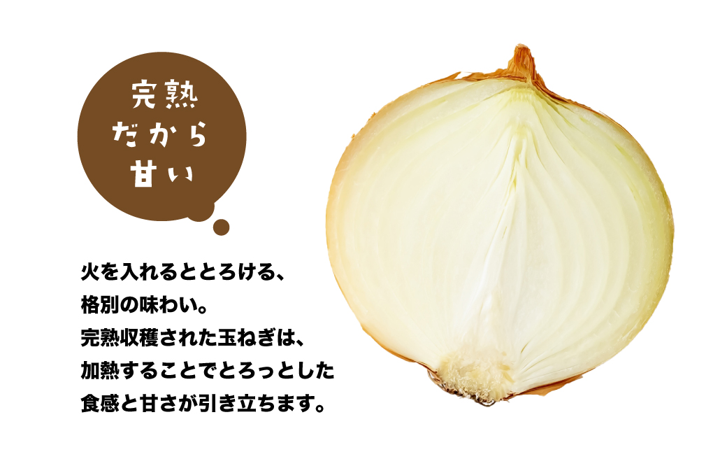 健幸農園の完熟淡路島産玉ねぎ 5kg　　[玉ねぎ 玉ねぎ 玉ね