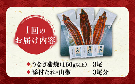 【全3回定期便】福岡県産 うなぎ 蒲焼 大3尾 合計 480 g（1尾あたり 160g以上）[VAD014] 国産 うなぎ