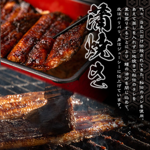 うなぎ処 四代目 志おや うな重ペアお食事券(うな重特・うな丼特もしくは蒲焼・白焼き松(持ち帰りは鰻弁当特・蒲焼白焼き松より2点))チケット 食事券 うなぎ 鰻 志おや【109400700】【志おや】