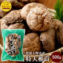 【ふるさと納税】特大椎茸 500g 大分県豊後大野市産 しいたけ 干ししいたけ 九州 原木栽培 送料無料