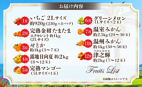 【数量・期間限定】特選！旬のフルーツ9ヶ月定期便vol.1 果物 フルーツ くだもの 定期便 フルーツ定期便 果物定期便 おすそ分け 贈り物 宮崎