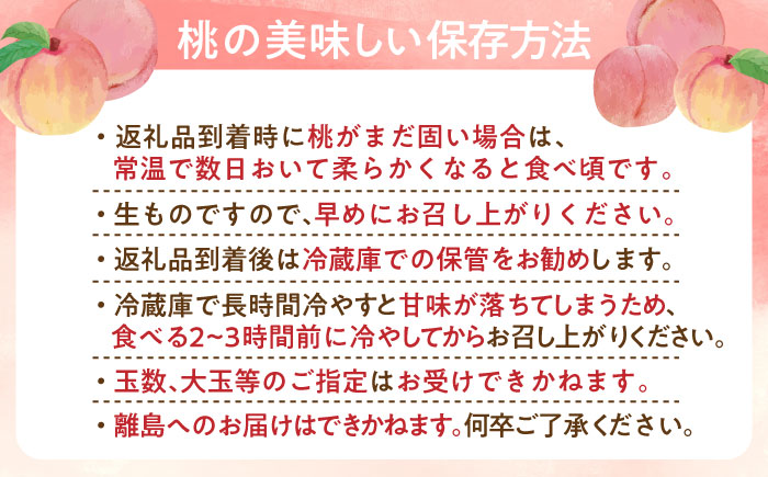 【2025年発送分先行予約】【口当たりなめらか！】佐賀県産桃！日川白鳳2kg（8-10玉）/ 桃 もも フルーツ 果物 / 佐賀県 / 石橋果樹園 [41AAAJ002]